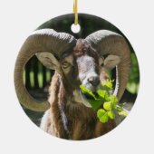 Mouflon Ram Keramikornament (Hinten)