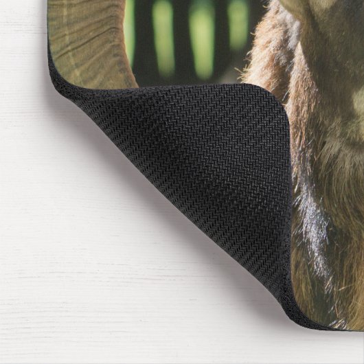 Mouflon Ram Mousepad (Ecke)