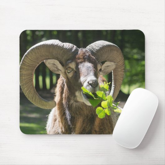 Mouflon Ram Mousepad (Mit Mouse)