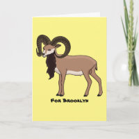 Mouflon-Ziegenbild