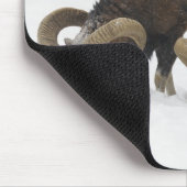 Mouflons im Winter, Deutschland Mousepad (Ecke)