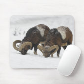 Mouflons im Winter, Deutschland Mousepad (Mit Mouse)