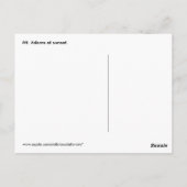 Mount Adams Snowy Peak bei Sonnenuntergang Postkar Postkarte (Rückseite)