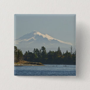 Mount Baker dominiert die Landschaft Button