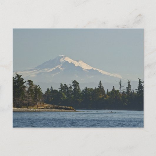 Mount Baker dominiert die Landschaft Postkarte (Vorderseite)