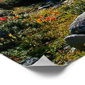 Mount Baker Poster (Ecke)