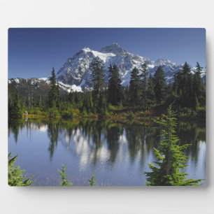 Mount Baker-Snoqualmie-Nationalwald Fotoplatte