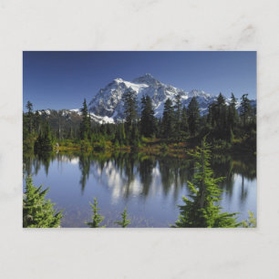 Mount Baker-Snoqualmie-Nationalwald Postkarte