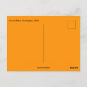 Mount Baker Washington USA Postkarte (Rückseite)