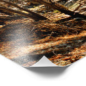 Mount Baldy Fotodruck (Ecke)