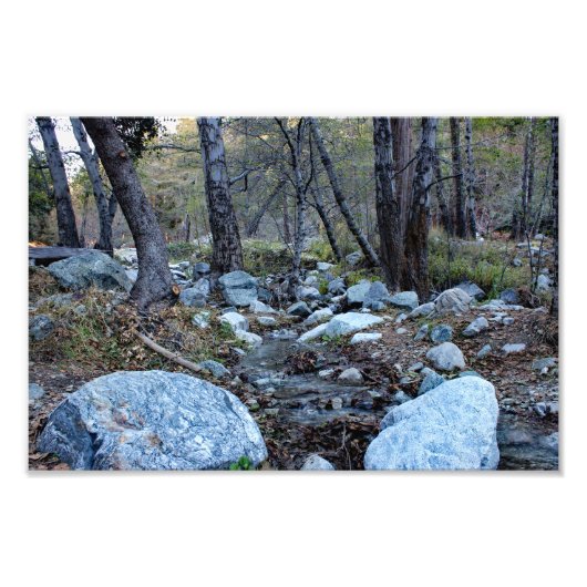 Mount Baldy Fotodruck (Vorne)