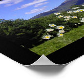 Mount Chocorua Poster (Ecke)