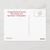 Mount Dora, Fl - Boat House Row - 1907 Postkarte (Rückseite)