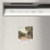 Mount Dora, Florida Magnet (In Situ (Geschirrspüler))