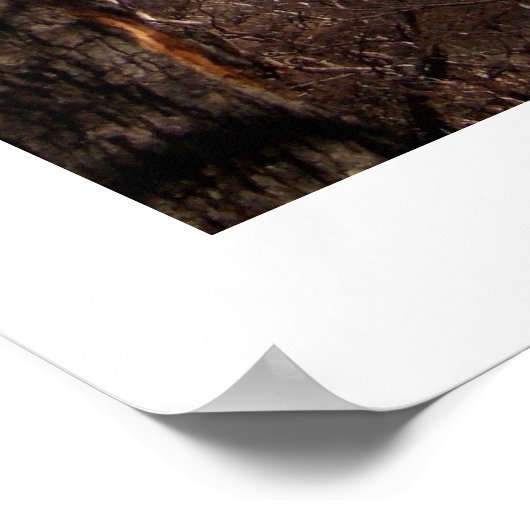 Mount Fitz Roy Patagonia Poster (Ecke)