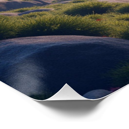 Mount Fuji landscape Poster (Ecke)