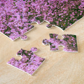 Mount Fuji Puzzle (Seite)