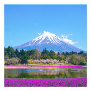 Mount Fuji Trees und Blume Fotodruck