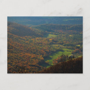 Mount Greylock Foliage View Postkarte