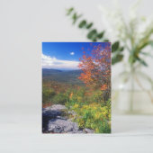 Mount Greylock Round Rock Vista Postkarte (Stehend Vorderseite)