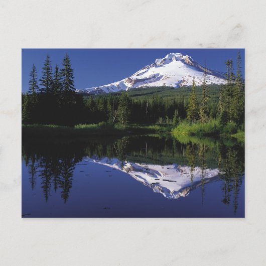Mount Hood Postkarte (Vorderseite)