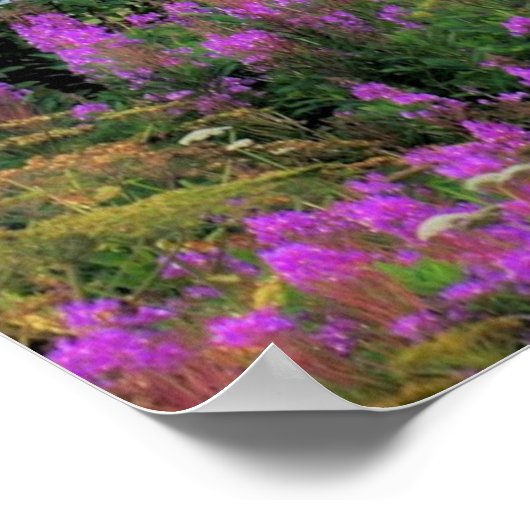 Mount Iliamna Alaska Poster (Ecke)