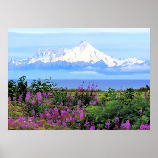 Mount Iliamna Alaska Poster (Vorne)