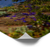 Mount Jefferson Poster (Ecke)