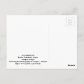 Mount Katahdin 8387a Postkarte (Rückseite)