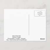 Mount Katahdin Postkarte (Rückseite)