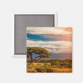 Mount Kilimanjaro | Amboseli, Kenia Magnet (Vorderseite/Rückseite)