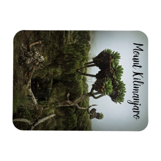 Mount Kilimanjaro Magnet (Horizontal)