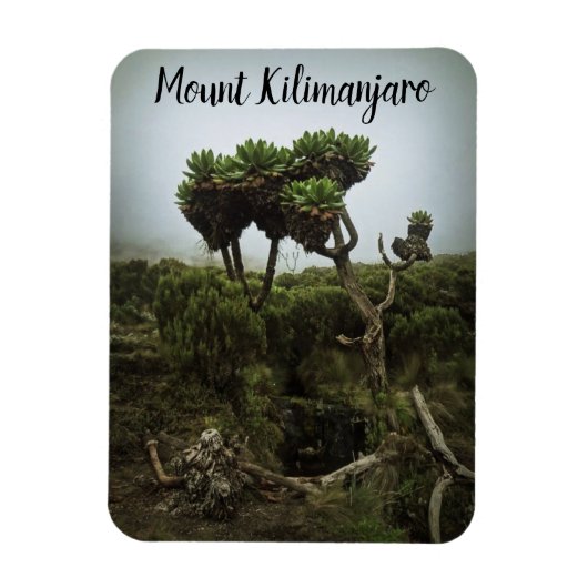 Mount Kilimanjaro Magnet (Vertikal)