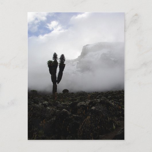 Mount Kilimanjaro (Portrait) Postkarte (Vorderseite)
