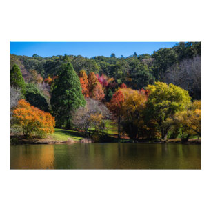 Mount Lofty Botanic Gardens Schöner Herbst Fotodruck
