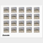 Mount Lycabettus Athens Stickers (Blatt)