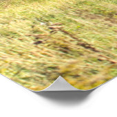 Mount Mansfield, Vermont Poster (Ecke)