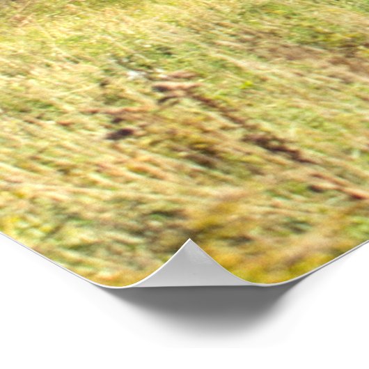 Mount Mansfield, Vermont Poster (Ecke)