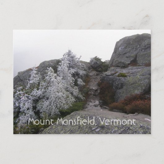 Mount Mansfield, Vermont Postkarte (Vorderseite)