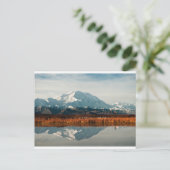 Mount McKinley in Denali NP, Alaska Postkarte (Stehend Vorderseite)