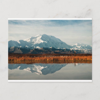 Mount McKinley in Denali NP, Alaska Postkarte