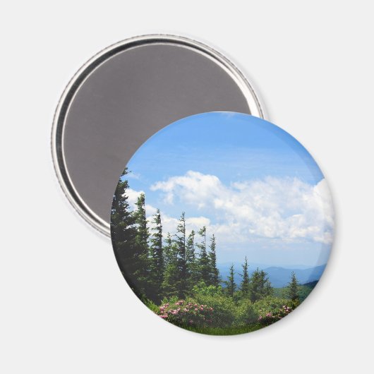Mount Mitchell Staat Park Magnet (Vorderseite/Rückseite)