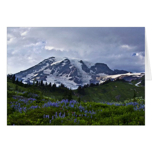 Mount Rainier (Vorderseite (Horizontal))