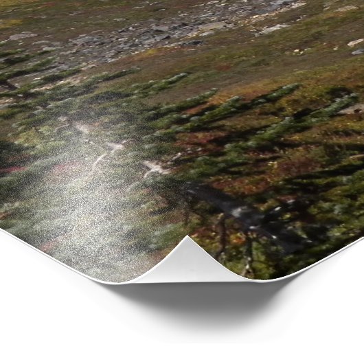 Mount Rainier Herbstfarbe Fotodruck (Ecke)