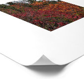 Mount Rainier Herbstfarben Fotografisches Poster (Ecke)
