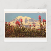 Mount Rainier Indian Paintbrush Postcard Postkarte (Vorderseite)