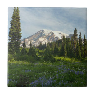 Mount Rainier Morgenlicht Fliese