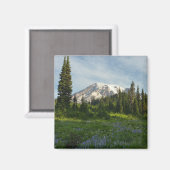 Mount Rainier Morgenlicht Magnet (Vorderseite/Rückseite)