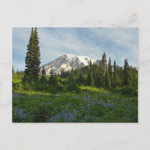 Mount Rainier Morgenlicht Postkarte