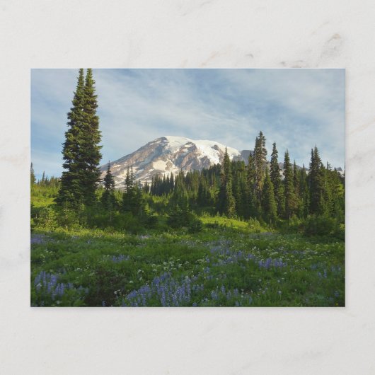 Mount Rainier Morgenlicht Postkarte (Vorderseite)